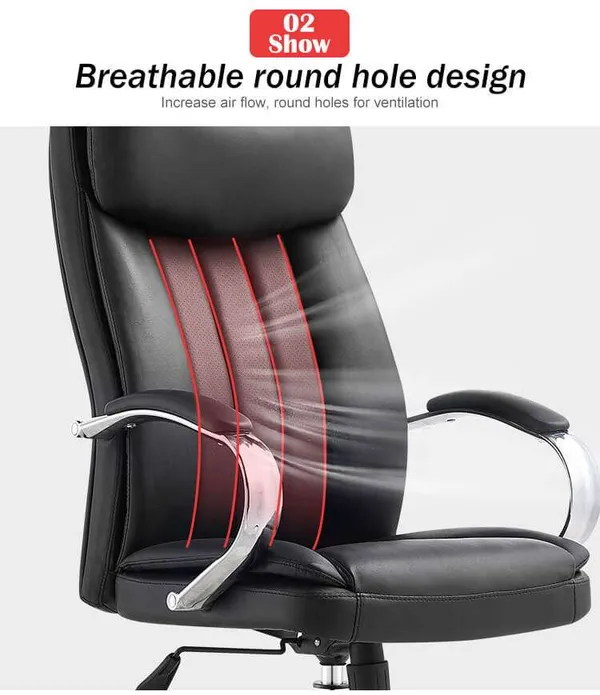 Photo 6: Brett Exec backrest with round holes that let air through