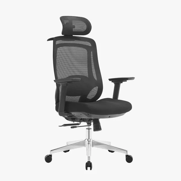 Photo 1: Erika Ergo office chair in black mesh with a headrest and adjustable armrests, front three-quarter view