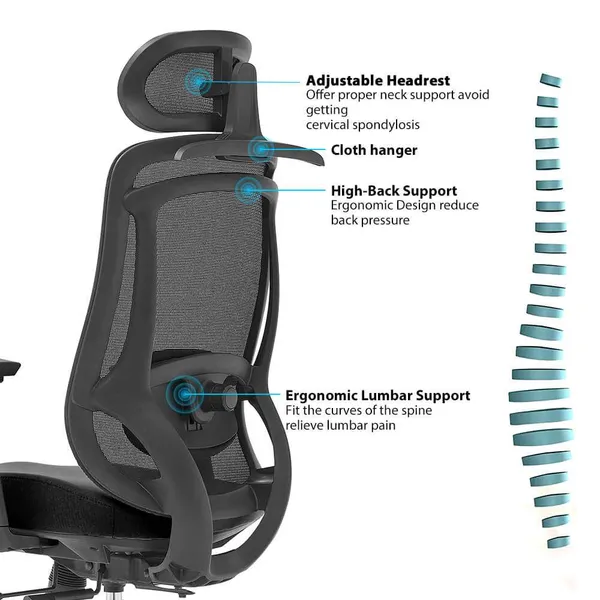 Photo 3: Rear of the Erika Ergo showing the adjustable headrest, clothes hanger and lumbar support