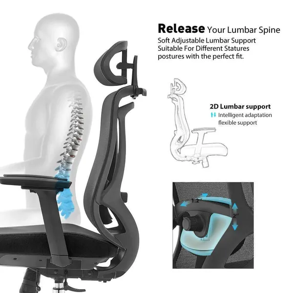 Photo 6: Side view of the Erika Ergo adjustable lumbar support against the spine