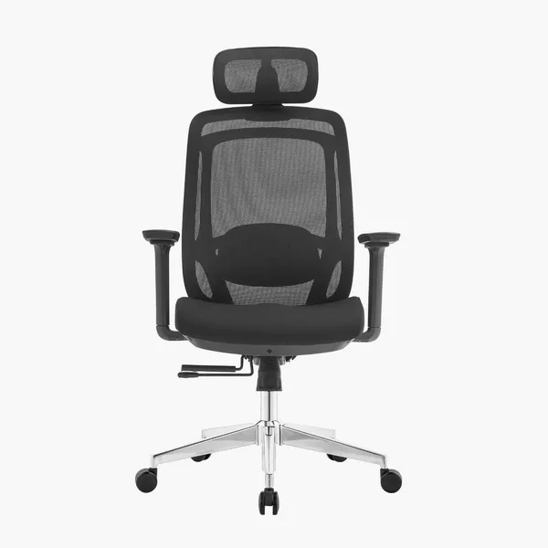 Photo 7: Erika Ergo office chair, front view
