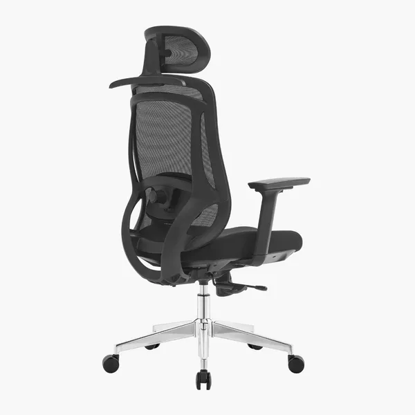 Photo 8: Erika Ergo office chair, rear three-quarter view